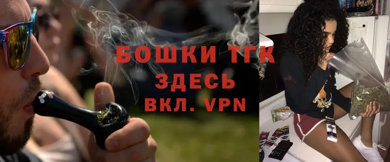 где купить   Вологда  Конопля SATIVA & INDICA 